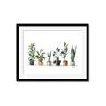 Picture of Pots with plants _GroupedProduct_Rectangle_Landscape_Framed_Matted_