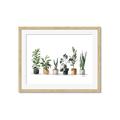 Picture of Pots with plants _GroupedProduct_Rectangle_Landscape_Framed_Matted_