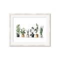 Picture of Pots with plants _GroupedProduct_Rectangle_Landscape_Framed_Matted_