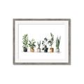 Picture of Pots with plants _GroupedProduct_Rectangle_Landscape_Framed_Matted_