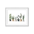Picture of Pots with plants _GroupedProduct_Rectangle_Landscape_Framed_Matted_