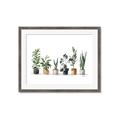Picture of Pots with plants _GroupedProduct_Rectangle_Landscape_Framed_Matted_