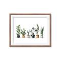 Picture of Pots with plants _GroupedProduct_Rectangle_Landscape_Framed_Matted_