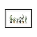 Picture of Pots with plants _GroupedProduct_Rectangle_Landscape_Framed_Matted_