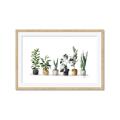 Picture of Pots with plants _GroupedProduct_Rectangle_Landscape_Framed_Matted_