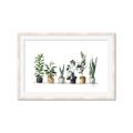 Picture of Pots with plants _GroupedProduct_Rectangle_Landscape_Framed_Matted_