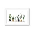 Picture of Pots with plants _GroupedProduct_Rectangle_Landscape_Framed_Matted_