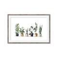 Picture of Pots with plants _GroupedProduct_Rectangle_Landscape_Framed_Matted_