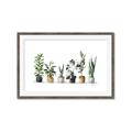 Picture of Pots with plants _GroupedProduct_Rectangle_Landscape_Framed_Matted_