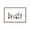 Picture of Pots with plants _GroupedProduct_Rectangle_Landscape_Framed_Matted_