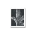 Picture of Pinneedles I _GroupedProduct_Rectangle_Portrait_Framed_Matted_
