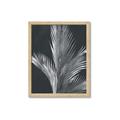 Picture of Pinneedles I _GroupedProduct_Rectangle_Portrait_Framed_Matted_