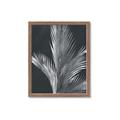 Picture of Pinneedles I _GroupedProduct_Rectangle_Portrait_Framed_Matted_
