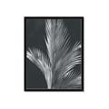 Picture of Pinneedles I _GroupedProduct_Rectangle_Portrait_Framed_Matted_