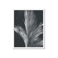 Picture of Pinneedles I _GroupedProduct_Rectangle_Portrait_Framed_Matted_