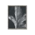 Picture of Pinneedles I _GroupedProduct_Rectangle_Portrait_Framed_Matted_
