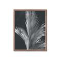 Picture of Pinneedles I _GroupedProduct_Rectangle_Portrait_Framed_Matted_