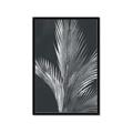 Picture of Pinneedles I _GroupedProduct_Rectangle_Portrait_Framed_Matted_