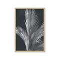 Picture of Pinneedles I _GroupedProduct_Rectangle_Portrait_Framed_Matted_