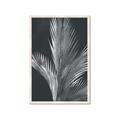 Picture of Pinneedles I _GroupedProduct_Rectangle_Portrait_Framed_Matted_