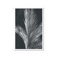 Picture of Pinneedles I _GroupedProduct_Rectangle_Portrait_Framed_Matted_