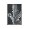 Picture of Pinneedles I _GroupedProduct_Rectangle_Portrait_Framed_Matted_