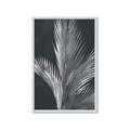 Picture of Pinneedles I _GroupedProduct_Rectangle_Portrait_Framed_Matted_