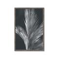 Picture of Pinneedles I _GroupedProduct_Rectangle_Portrait_Framed_Matted_