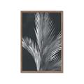 Picture of Pinneedles I _GroupedProduct_Rectangle_Portrait_Framed_Matted_