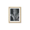 Picture of Pinneedles I _GroupedProduct_Rectangle_Portrait_Framed_Matted_