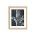Picture of Pinneedles I _GroupedProduct_Rectangle_Portrait_Framed_Matted_