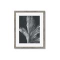 Picture of Pinneedles I _GroupedProduct_Rectangle_Portrait_Framed_Matted_