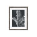Picture of Pinneedles I _GroupedProduct_Rectangle_Portrait_Framed_Matted_