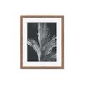 Picture of Pinneedles I _GroupedProduct_Rectangle_Portrait_Framed_Matted_