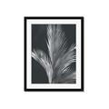 Picture of Pinneedles I _GroupedProduct_Rectangle_Portrait_Framed_Matted_
