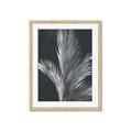 Picture of Pinneedles I _GroupedProduct_Rectangle_Portrait_Framed_Matted_