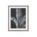 Picture of Pinneedles I _GroupedProduct_Rectangle_Portrait_Framed_Matted_