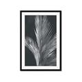 Picture of Pinneedles I _GroupedProduct_Rectangle_Portrait_Framed_Matted_
