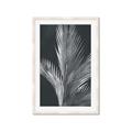 Picture of Pinneedles I _GroupedProduct_Rectangle_Portrait_Framed_Matted_