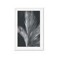 Picture of Pinneedles I _GroupedProduct_Rectangle_Portrait_Framed_Matted_