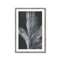 Picture of Pinneedles I _GroupedProduct_Rectangle_Portrait_Framed_Matted_