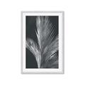 Picture of Pinneedles I _GroupedProduct_Rectangle_Portrait_Framed_Matted_