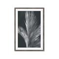 Picture of Pinneedles I _GroupedProduct_Rectangle_Portrait_Framed_Matted_