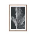 Picture of Pinneedles I _GroupedProduct_Rectangle_Portrait_Framed_Matted_
