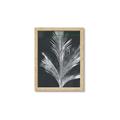 Picture of Pinneedles II _GroupedProduct_Rectangle_Portrait_Framed_Matted_