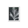 Picture of Pinneedles II _GroupedProduct_Rectangle_Portrait_Framed_Matted_