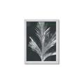 Picture of Pinneedles II _GroupedProduct_Rectangle_Portrait_Framed_Matted_