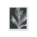 Picture of Pinneedles II _GroupedProduct_Rectangle_Portrait_Framed_Matted_