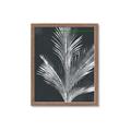 Picture of Pinneedles II _GroupedProduct_Rectangle_Portrait_Framed_Matted_