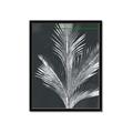 Picture of Pinneedles II _GroupedProduct_Rectangle_Portrait_Framed_Matted_